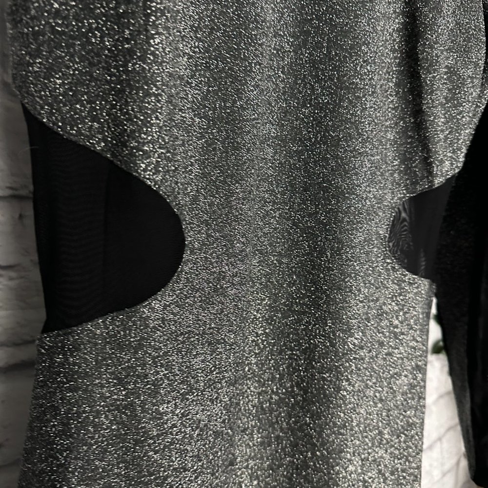 Express Sheer Shimmer Dress - NWT - Picture 2 of 5
